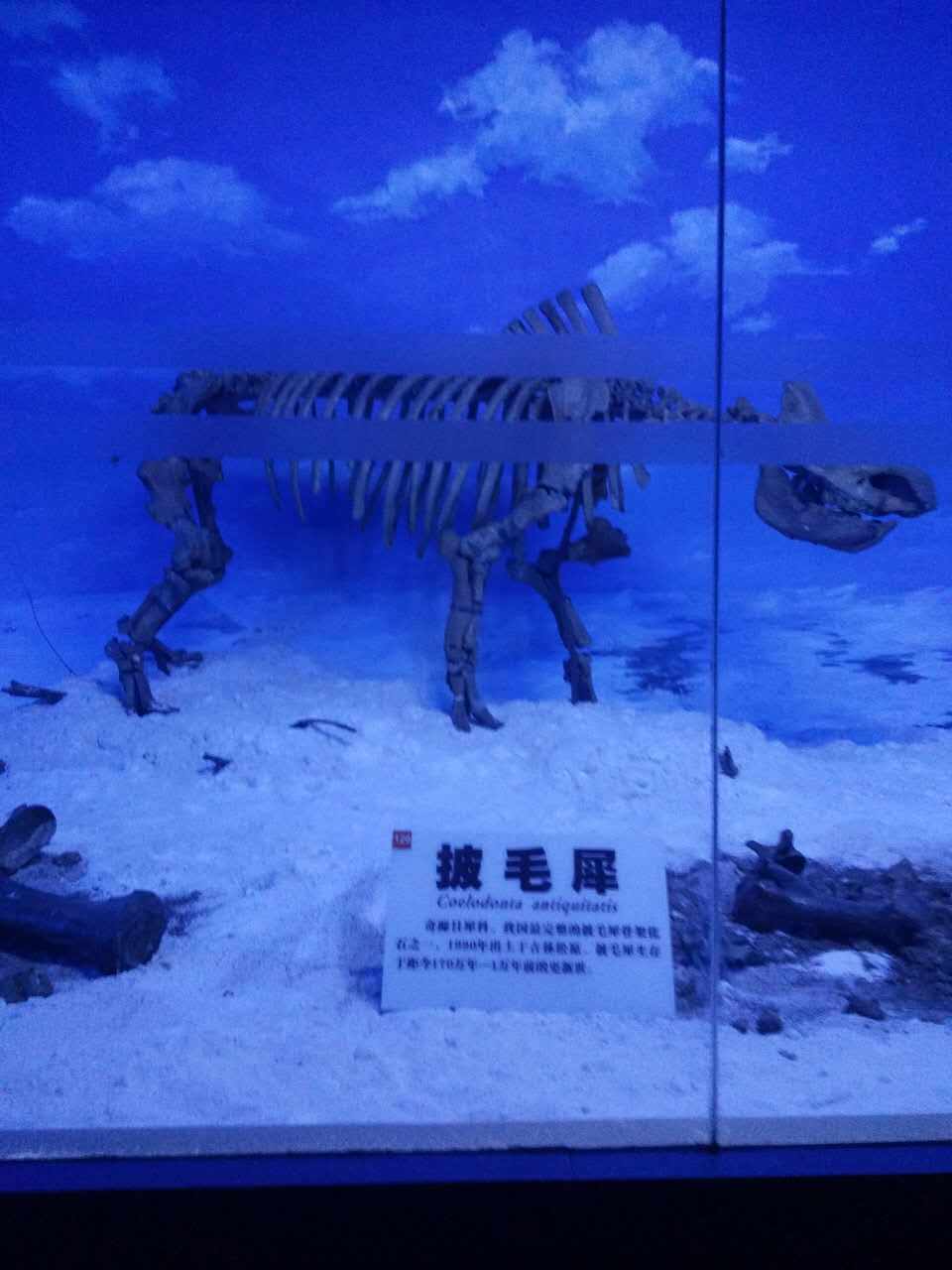 自游人户外俱乐部_20170624_103621