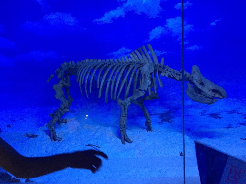 自游人户外俱乐部_20170624_113337