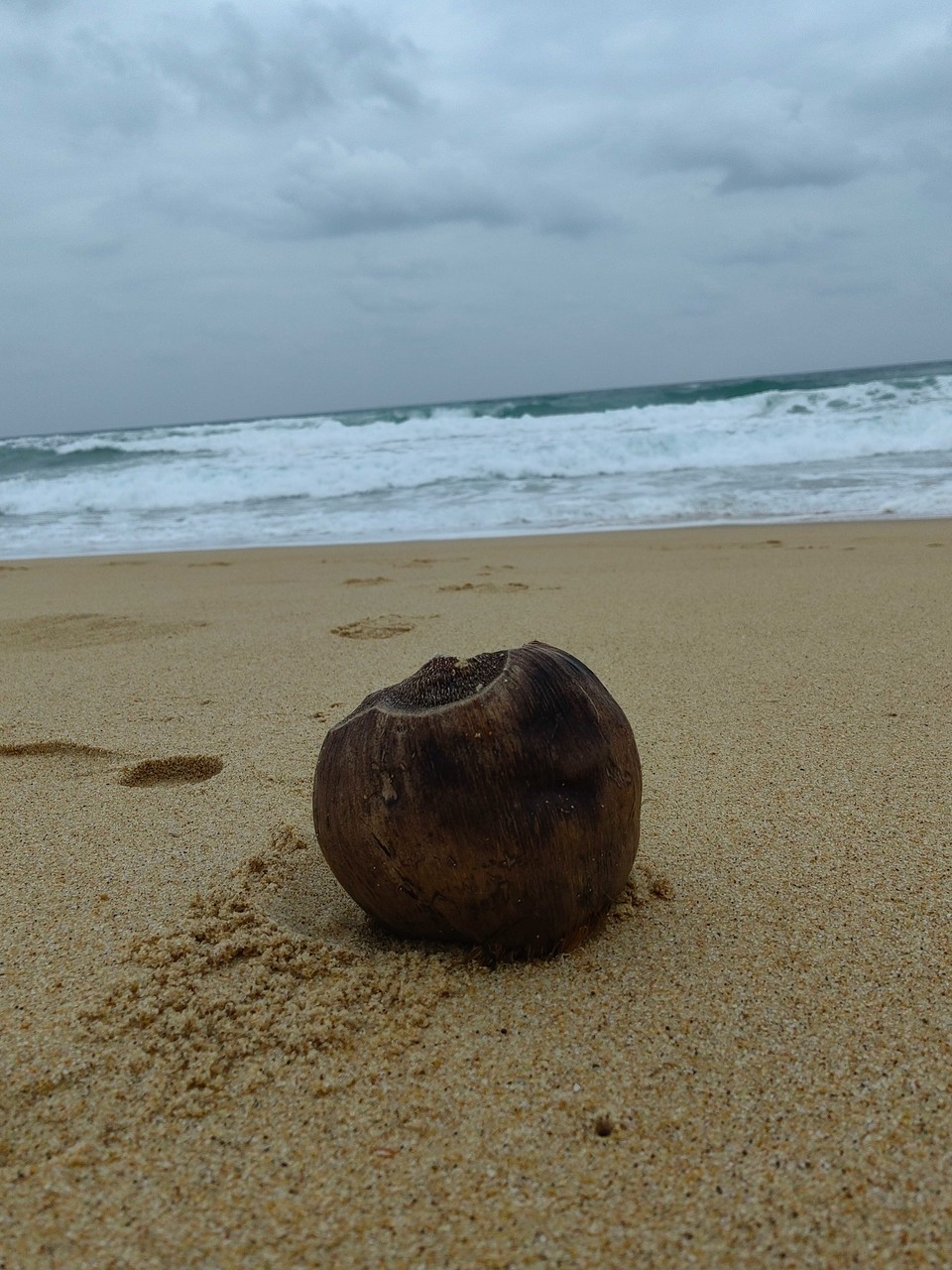 26dd5729745d2afc71afd825ecc841f5