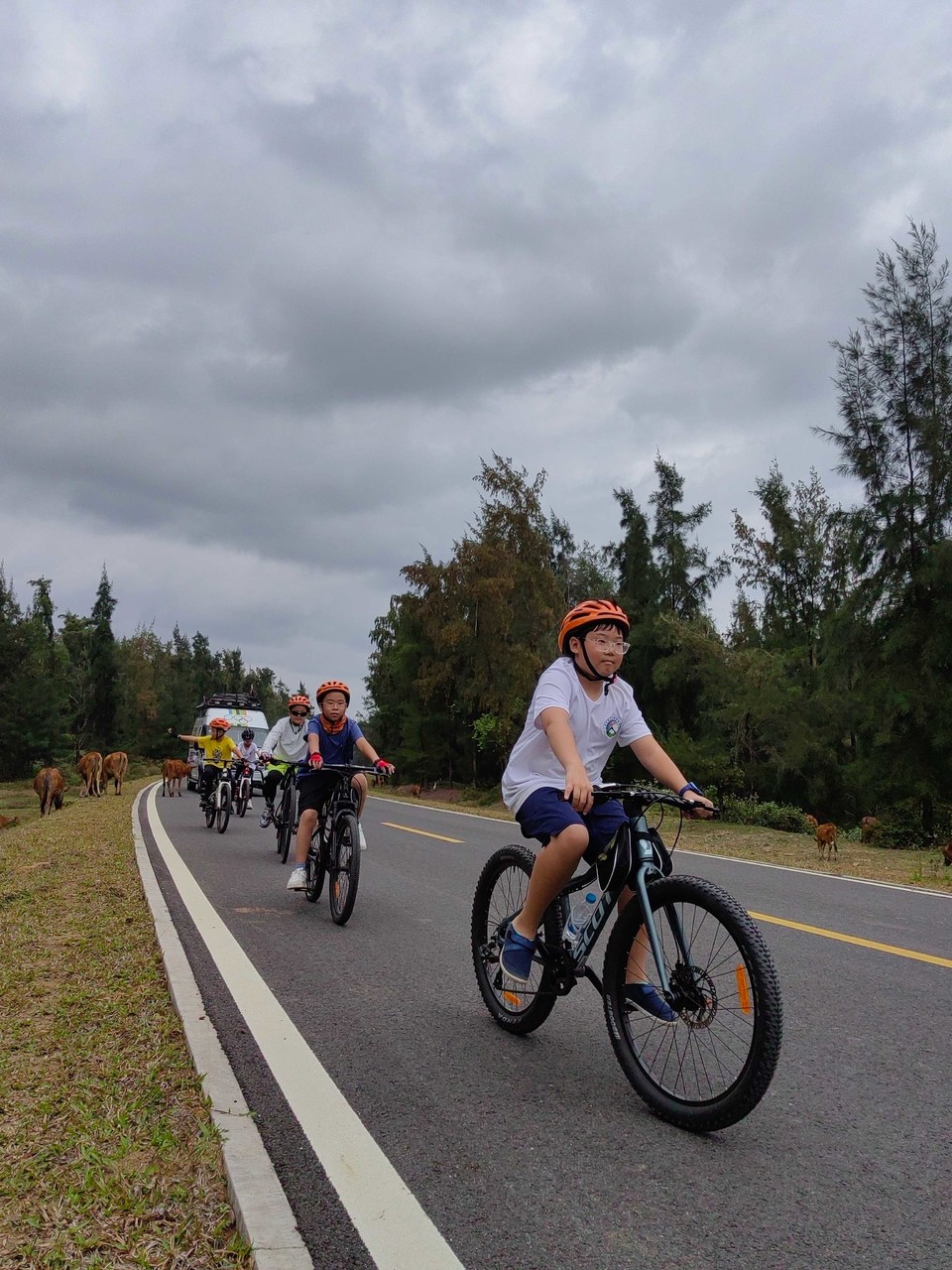 323c677af27ded33bf4558ec0376c644