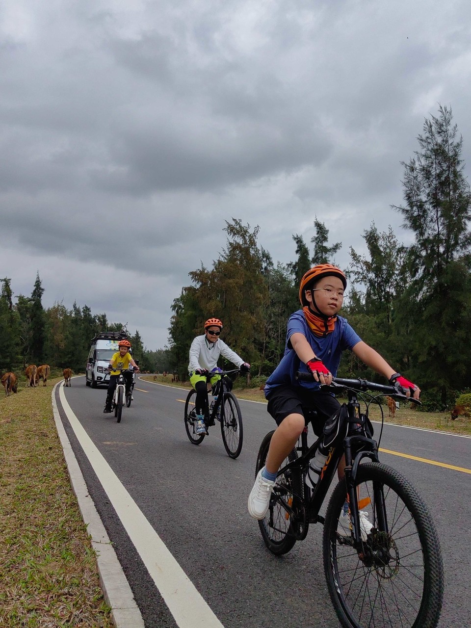 812178e03740364534c50711fe405242