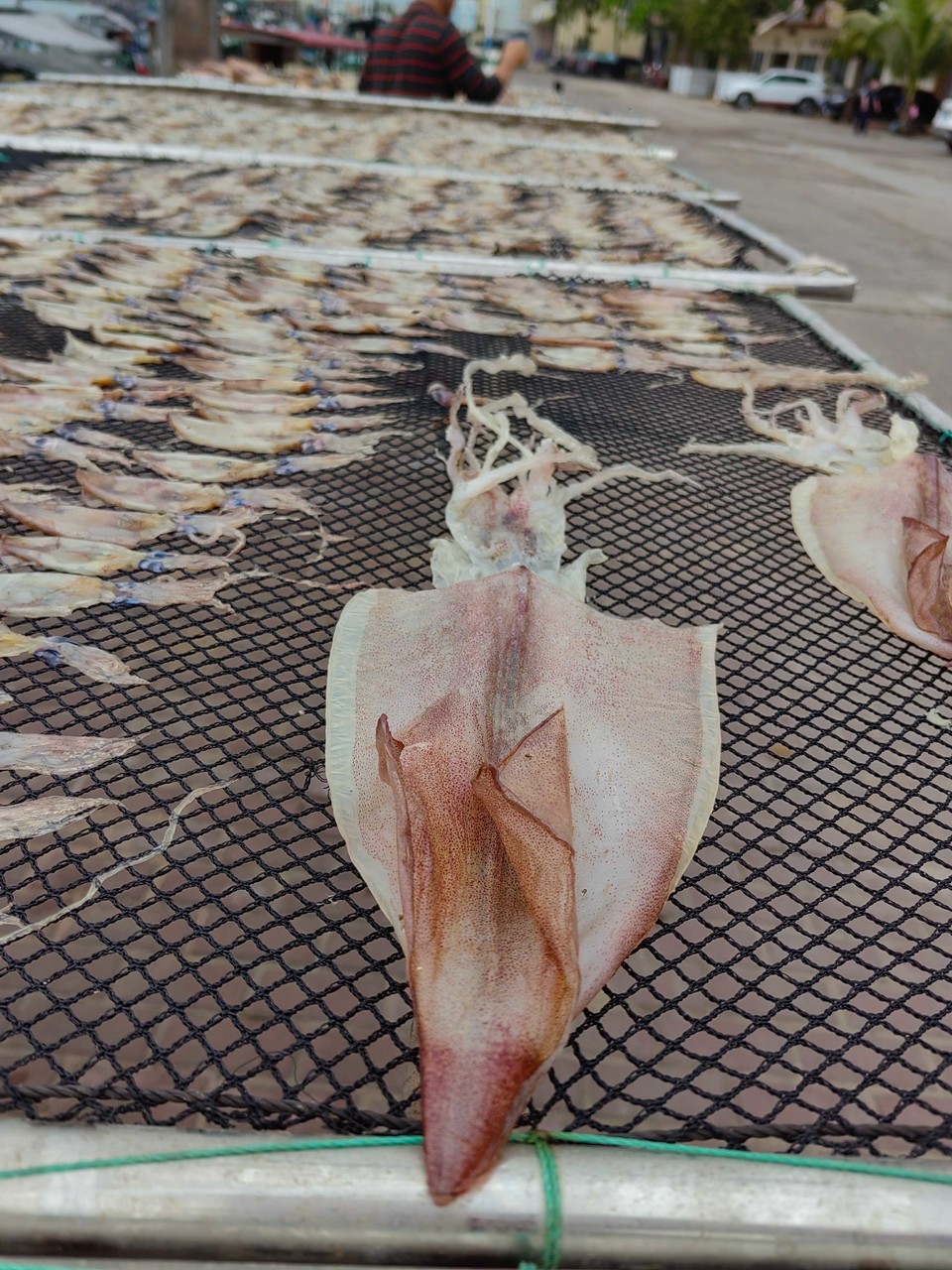 d12e0f2f537e006b4c649dca9e6ac753