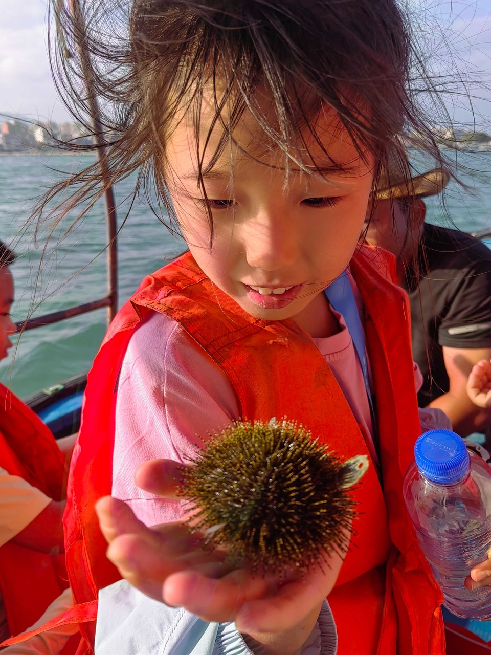 e36ab12e2e56c157730bd19219f3420c