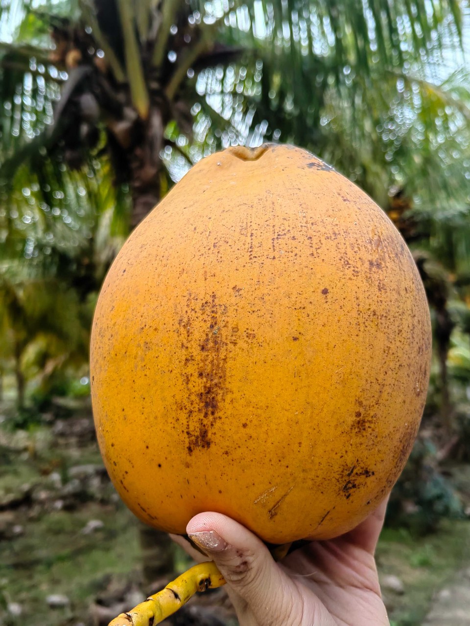 e47db00f519491a92fb620652af4a65f