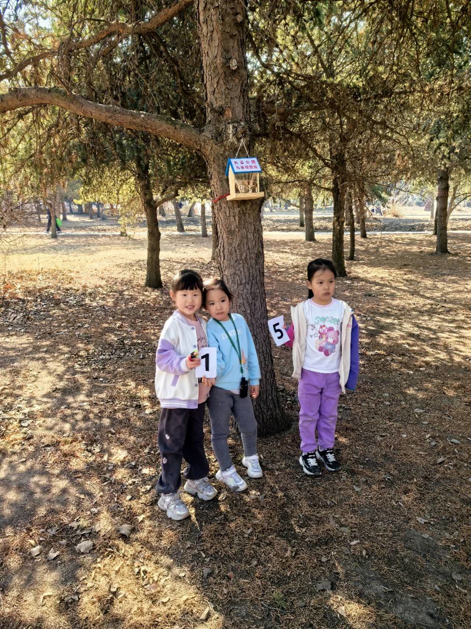 xRxj_m1pak8mPoPIxAMpmjQZq6XMgBkFV8nkCv-5TfDnomcwZpFbAg2AzIEVWvYA