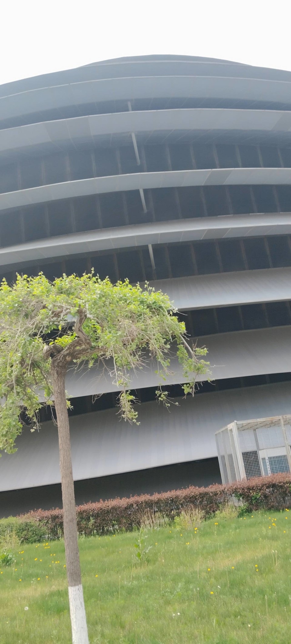 8f2hkJh5SFmYNbMEy-MN6rZwHR7Vjtz5AT1YhuQ6eRcptA_q0Be8xwktedbNKTTs