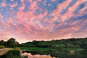 【游·活动】2019年4月20日净月潭环保行动！