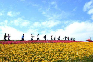 【游·活动】2017年9月9日-10日蛟河旅游局特邀自游人相约富江花海帐篷节！