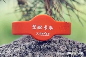 【游·手环】2026自游人体育计时手环接受预定！