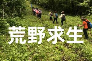 【游·小童】2022年11月5日游小童荒野求生1日营招募中！（总第13期）