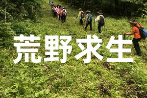 【游·小童】2022年11月19日游小童荒野求生1日营“雪山围炉”招募中！（总第14期）