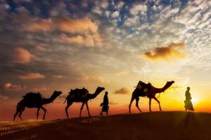 【童·5.1假期】2023年4月29-30日游小童荒野假期2日沙漠营！