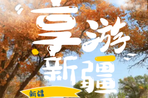 【游·国内】2023年9月30-10月8日南疆金色胡杨之旅！（9天8夜）