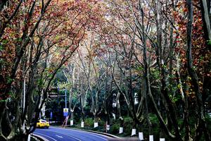 【童·探索】2023年11月17-19日游小童双城探索南京站！