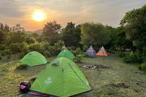 【童·户外】2024年6月1日游小童“荒野丛林”训练营1日营报名开启！