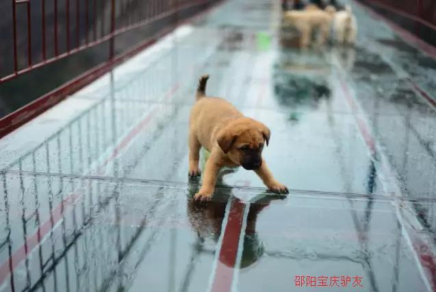 QQ图片20160421110942_副本.png