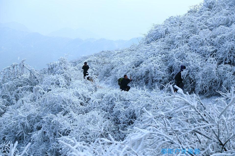 12月17日99元登冰情雪韵新邵龙山,赏绝美雾凇活动