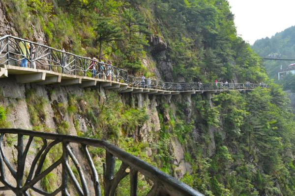 【行者无疆】 (特价)大明山景区秋季赏景, 坐超级滑滑梯,走悬空栈道