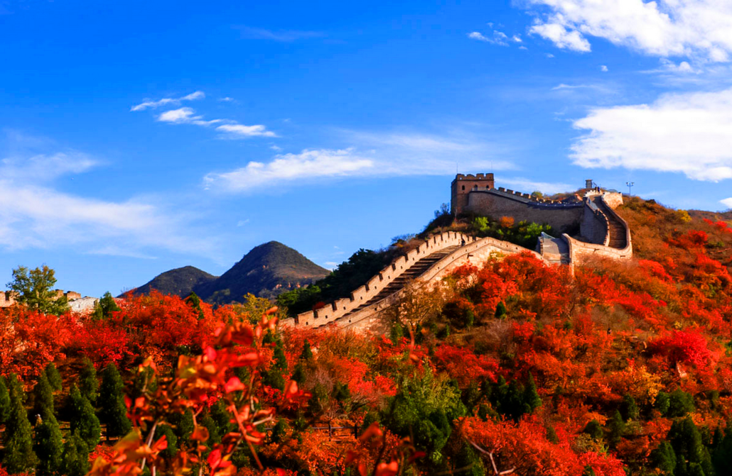 熊出没【京郊一日】游亚洲最大红叶景区-【红叶岭】-八达岭长城-卧龙