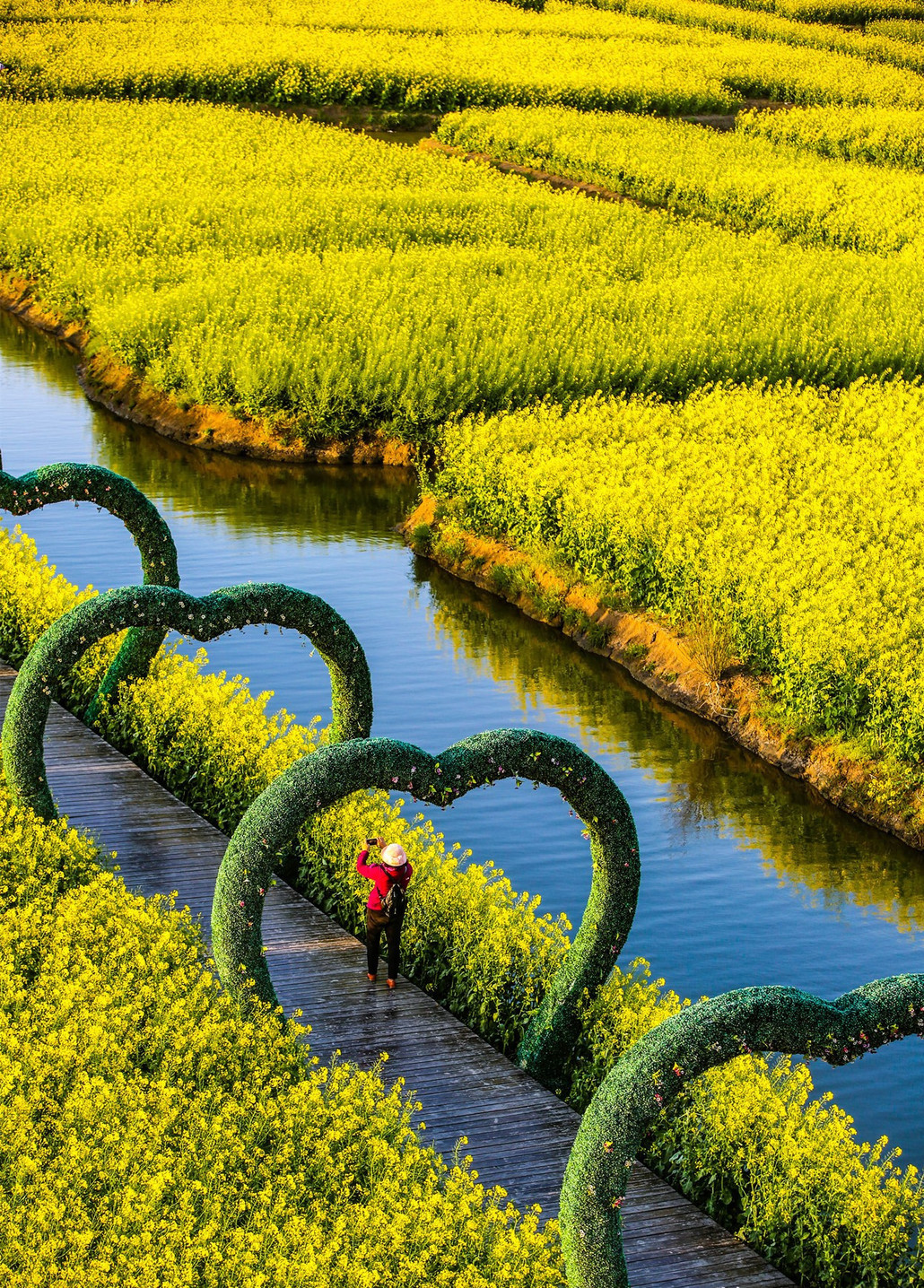 【扬州烟雨江南】太湖鼋头渚·同里·周庄·拙政园·兴化油菜花·水上