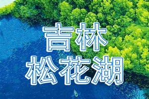 视频教程