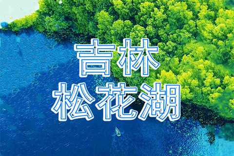 测试