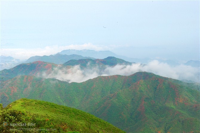 常宁天堂山映山红图片