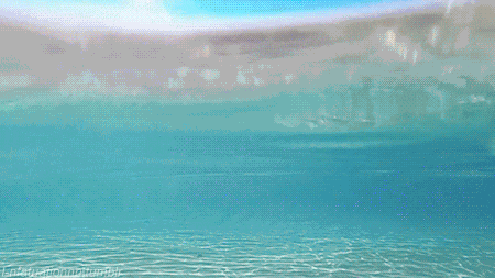 450_253gif 动态图 动图