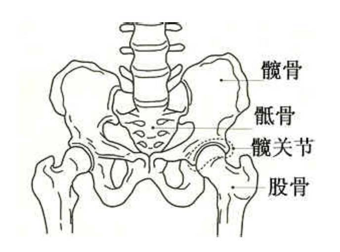 你的胯部她还好吗