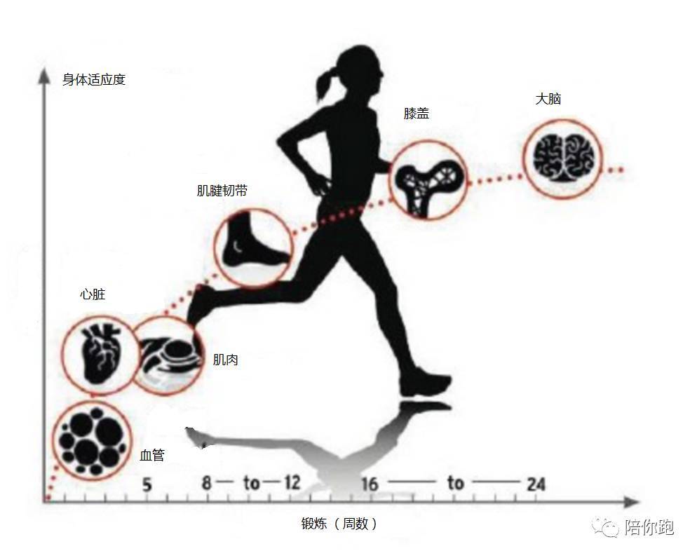 避免运动伤害的9大原则