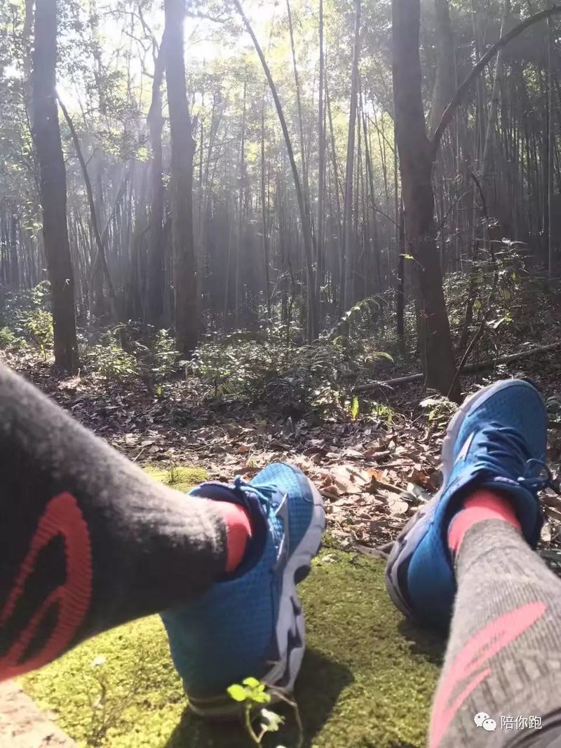 喜欢清晨跑步的20个理由