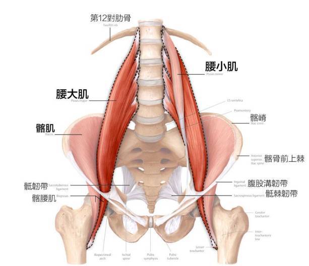 照顾好你的腰