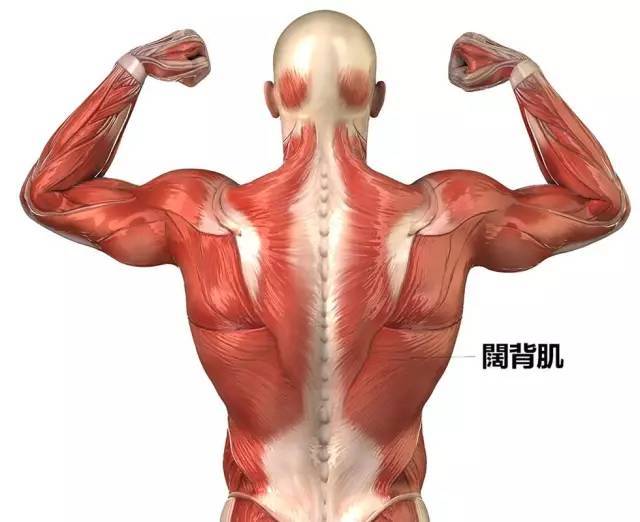 网球放松小秘笈来喽