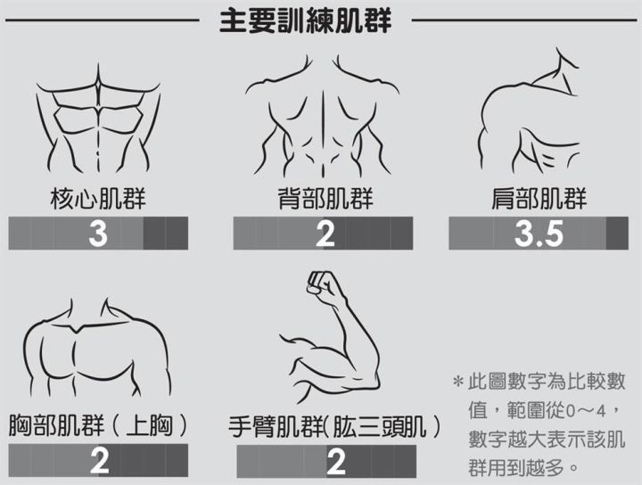 葵花宝典之俯卧撑