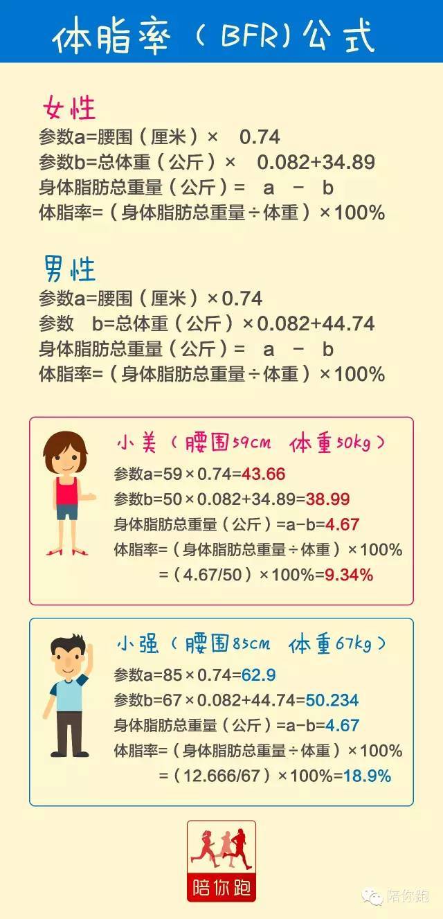 你知道自己的体脂率吗教你简单的测算方法