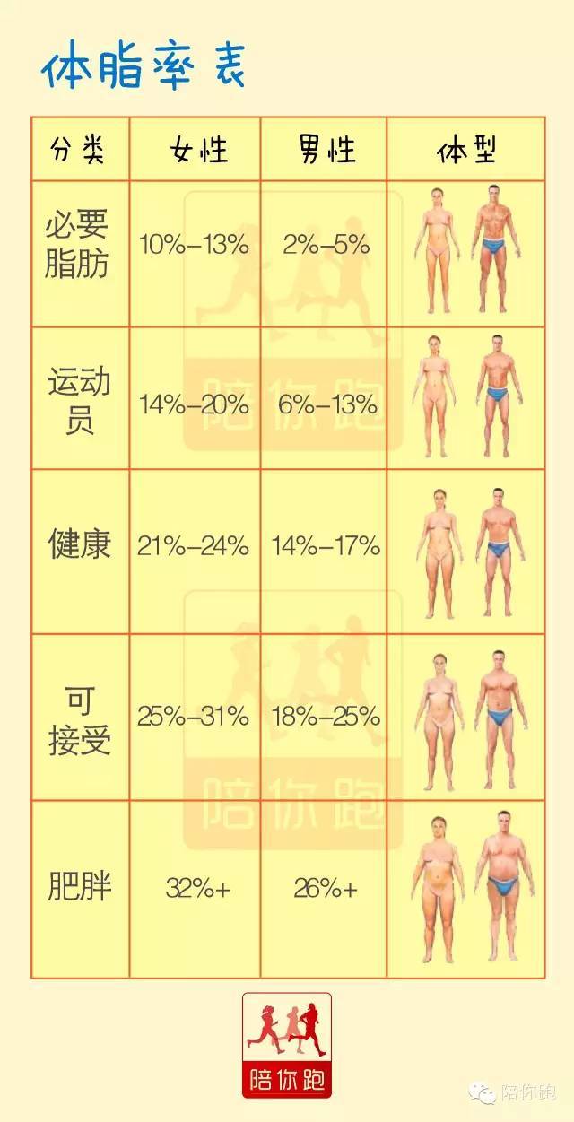 女生体脂率范围图片