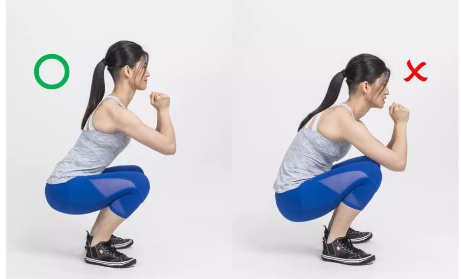 5 肩膀与肩胛骨深蹲时上半身姿势良好,主要是靠脊椎附近的肌肉群帮忙.