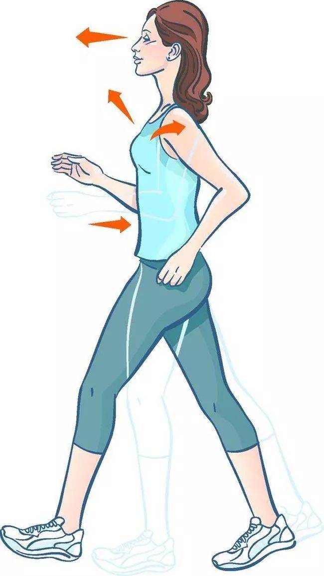 健走的正确姿势与要领