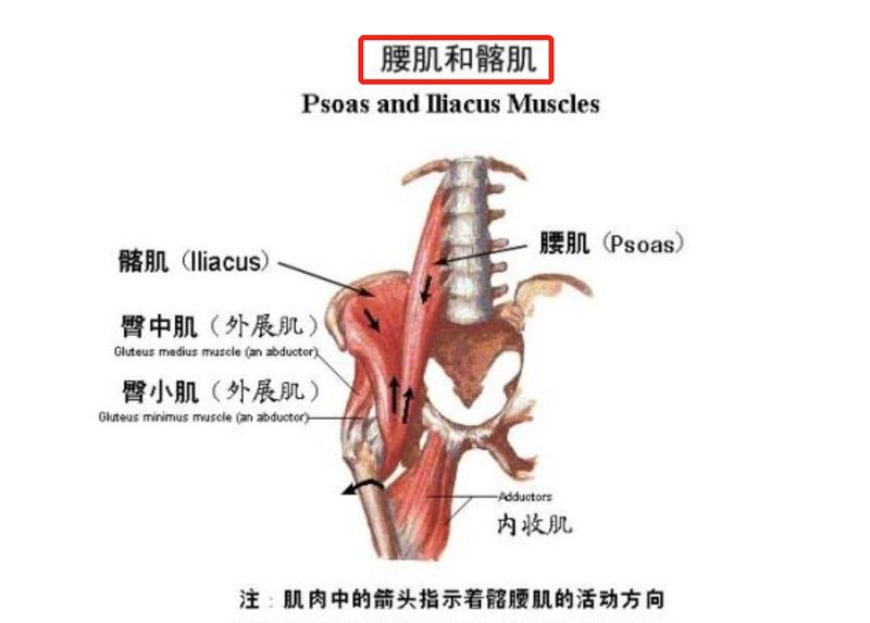 一个动作增加身体稳定度