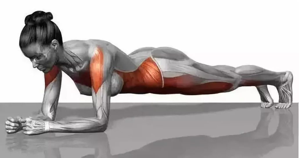 每天1 分钟,让你背部线条更迷人 - 陪你跑 - 运动装备专家