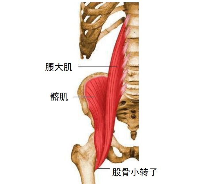 視頻教你跑後4大伸展動作