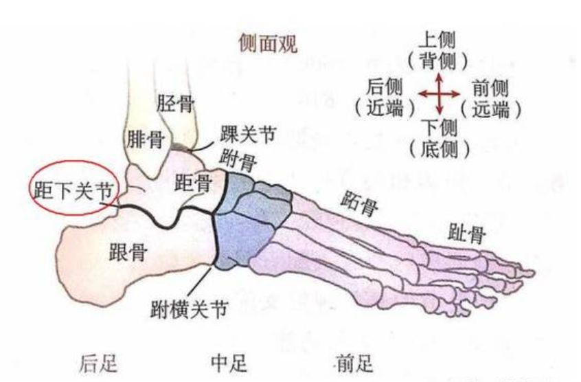 台湾医师成功治疗跑步伤害的关键在于足弓