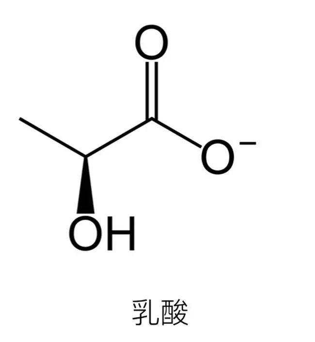 看完本篇彻底颠覆你对乳酸的认知