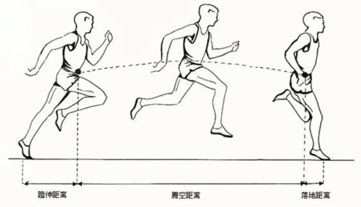 大数据告诉你跑步的步幅究竟多少最合适
