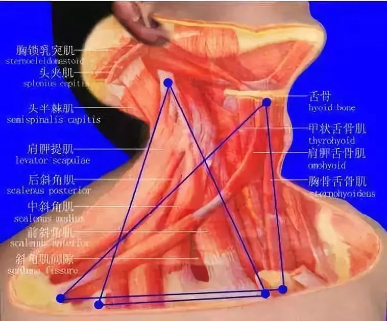 泡沫轴千万别滚错赶紧了解这4点