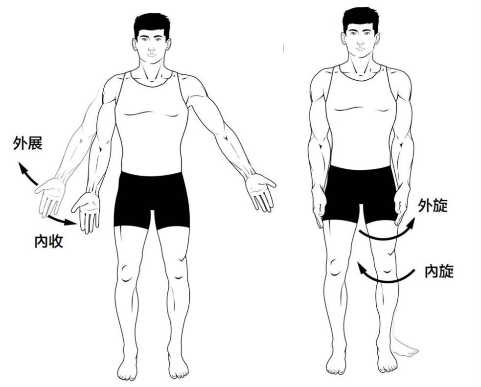 每天拉筋伸展才能更有效激活肌肉状态