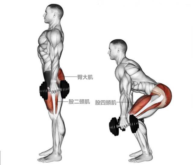 股四头肌功能锻炼方法图片