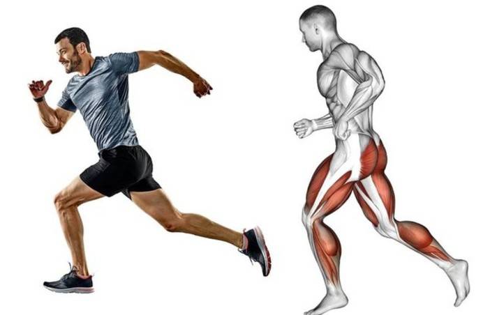 对核心肌群有益跑步不只对腿部肌肉有帮助,如果姿势与发力点正确