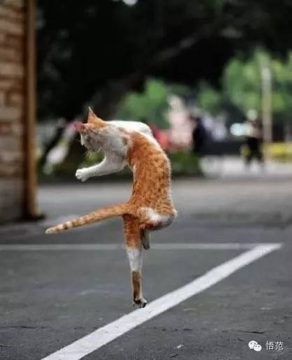 跑步如何变得有趣不无聊