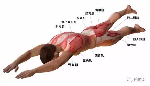 今天我们一起来做一个能缓解腰背疼痛,锻炼核心肌群的动作——盆旋转